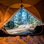 orange camping tent near green trees